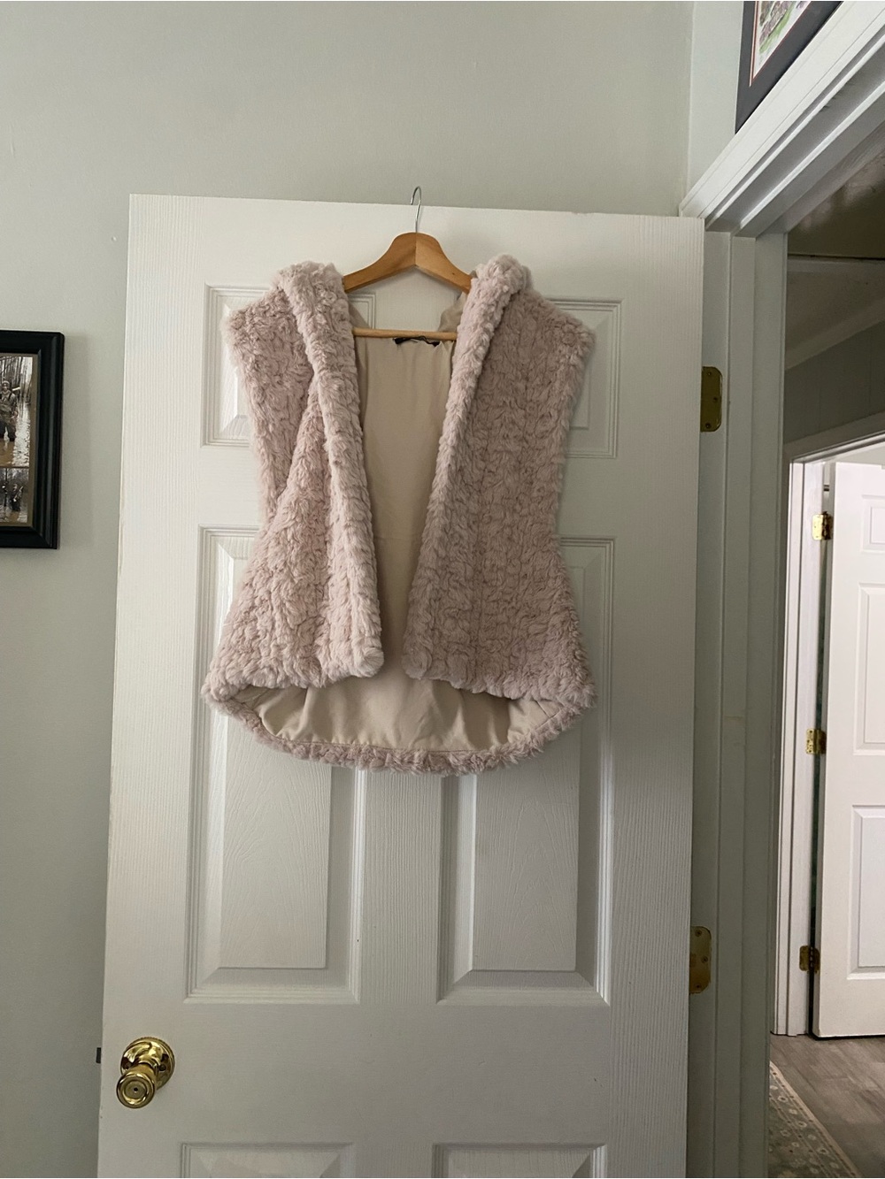 Do everything in love Plush Faux Fur Hooded Vest - Light tan